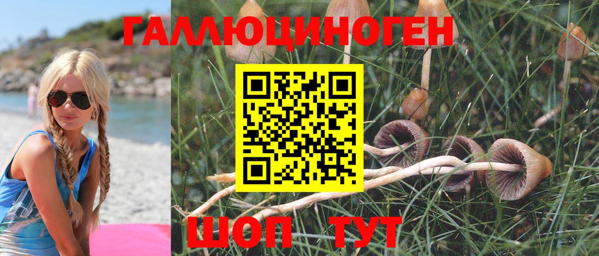 Ахтубинск  Галлюциногенные грибы Psilocybe  Галлюциногенные грибы прущие грибы  Вход с VPN 