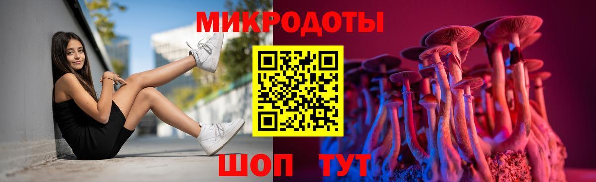 Псилоцибиновые грибы Cubensis Ахтубинск